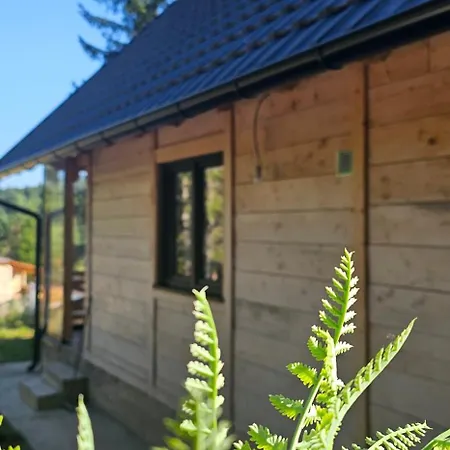 Dom wakacyjny Brvnara Marinkovic Na Sekulicima