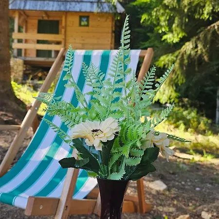 Brvnara Marinkovic Na Sekulicima *