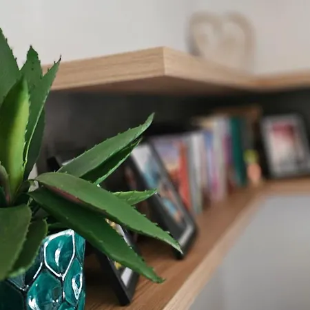 Dom wakacyjny Brvnara Marinkovic Na Sekulicima