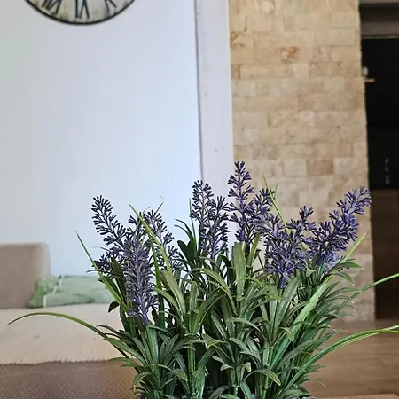 Brvnara Marinkovic Na Sekulicima Dom wakacyjny *