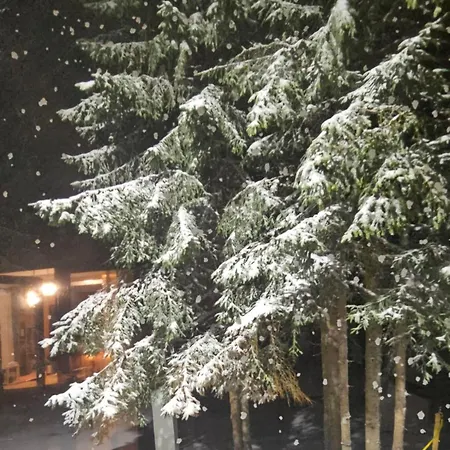 Brvnara Marinkovic Na Sekulicima