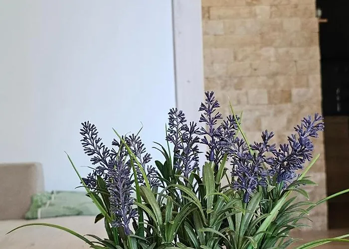 Brvnara Marinkovic Na Sekulicima Σπίτι διακοπών *