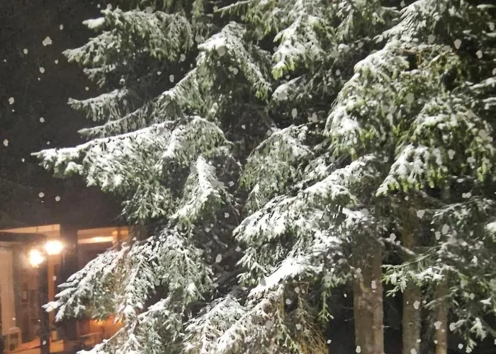 Brvnara Marinkovic Na Sekulicima